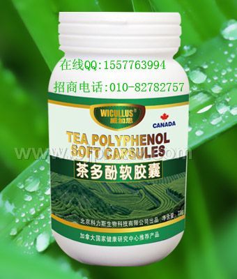 ����֧����Ŀ���������ҡ�����������Ʒ����