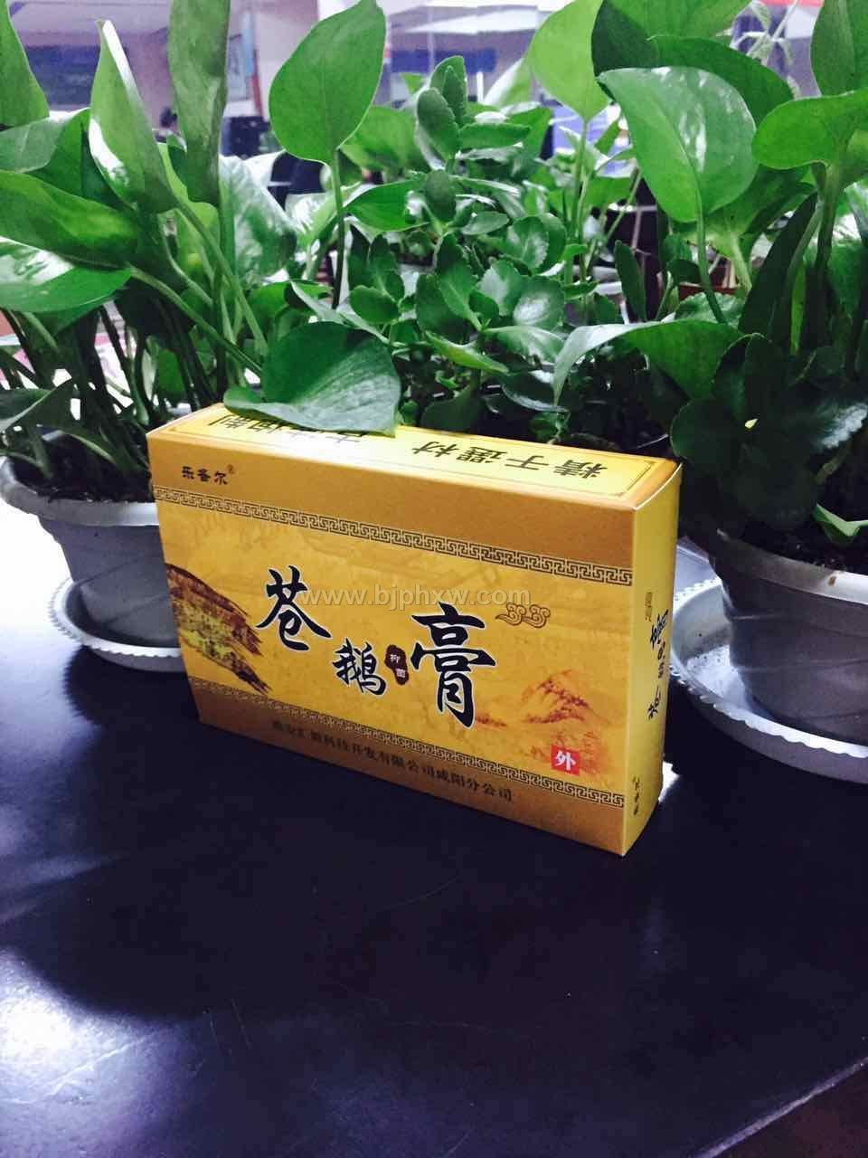 �Զ���׸� �洫�ط� һ�μ�Ч������������Ʒ����