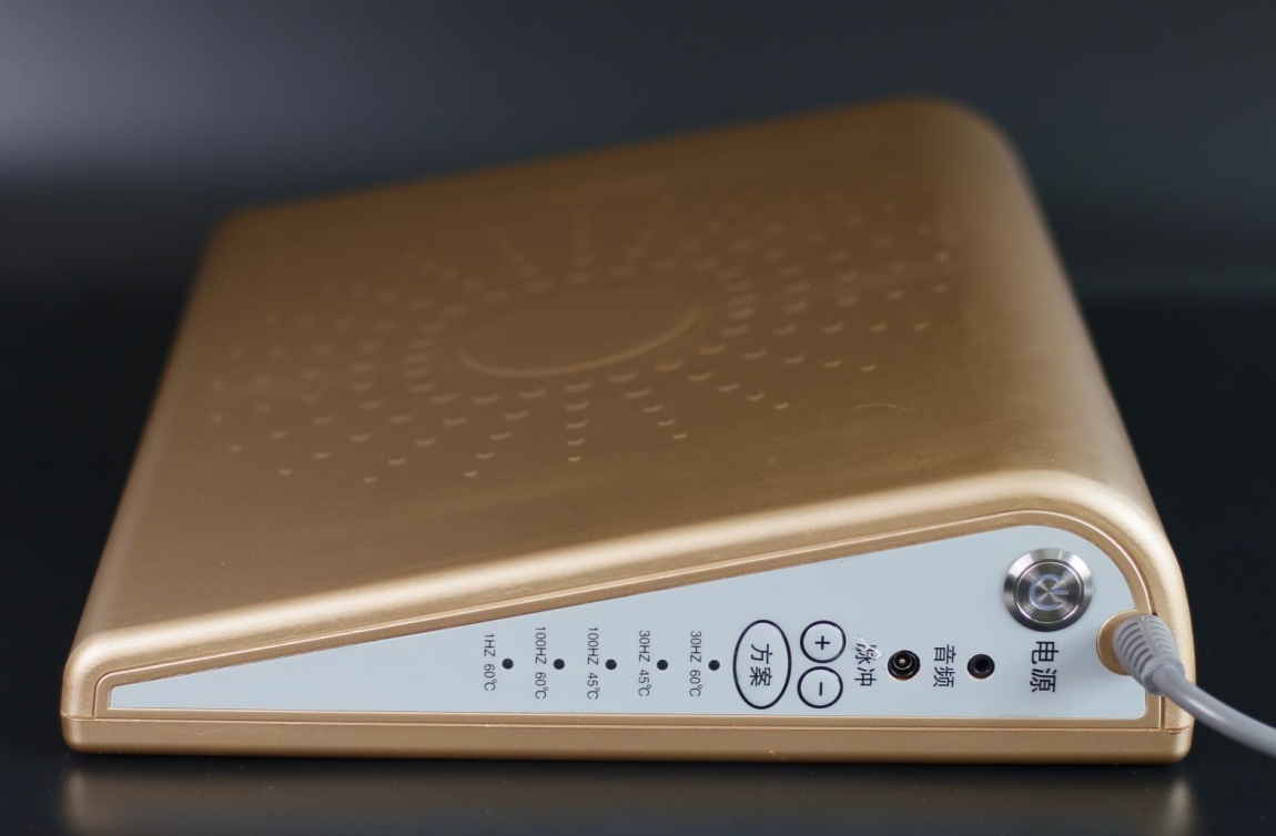 远红外磁电脉冲治疗仪(SX-D2)