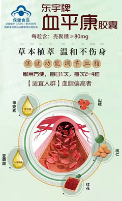 东宇牌血平康胶囊
