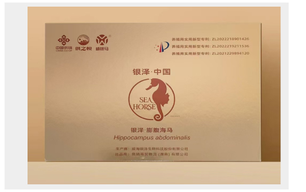 银泽 膨腹海马
