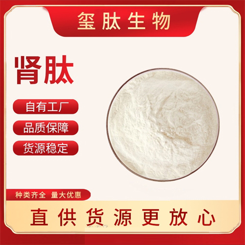肾肽
