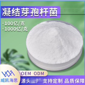 厂家直供冻结芽孢杆菌100亿冻干型乳酸菌