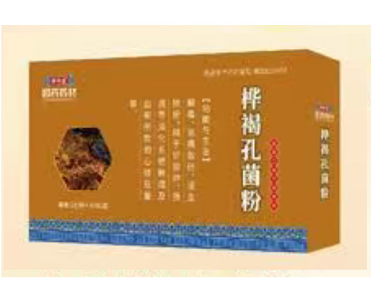桦褐孔菌粉 中药饮片